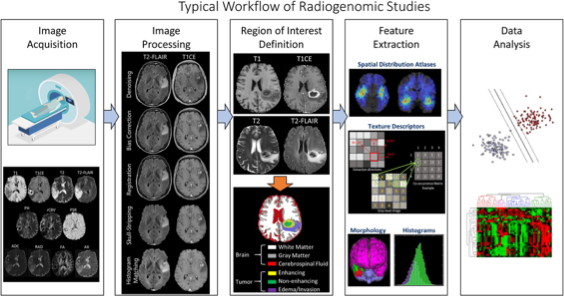 Typical workflow of radiogenomic studies